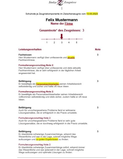 Arbeitszeugnis prüfen lassen von Stolze Zeugnisse